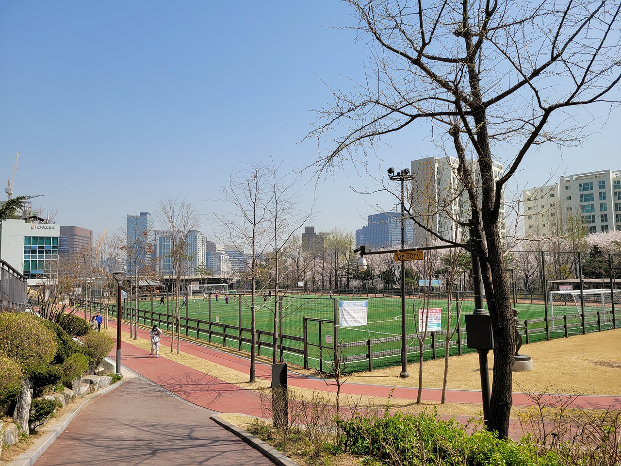 学游泳历来