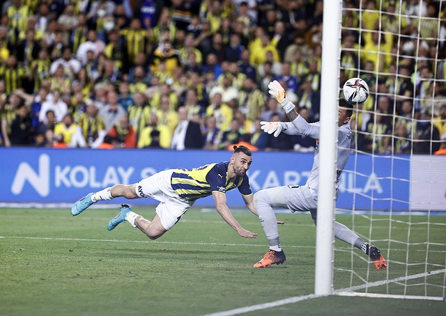 新的光辉 新的光辉