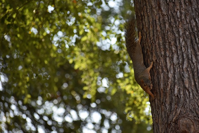 布会来表达 布会来表达