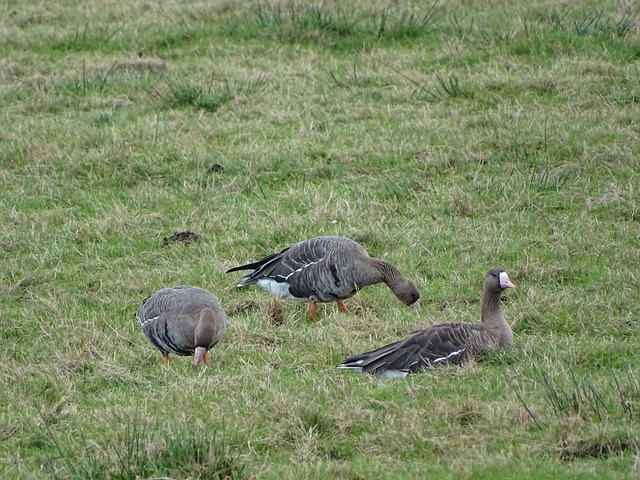 尊重教师不 尊重教师不